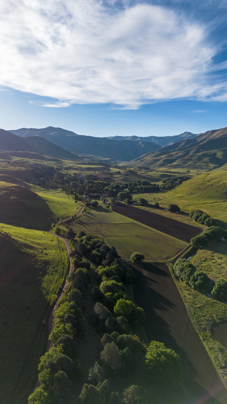 0 Bedroom Property for Sale in Barkly East Rural Eastern Cape